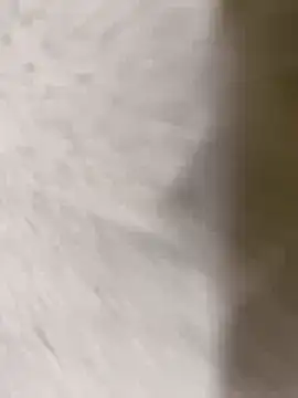 chennai sexyboy online show from February 8, 4:32 pm