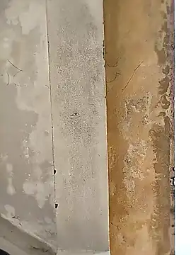 loyalboy 0052 online show from February 8, 9:13 am