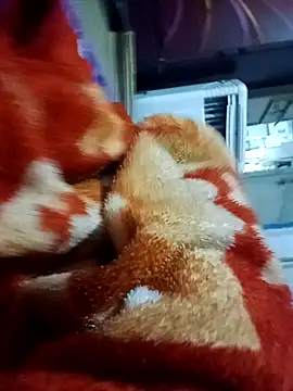 yusu 3 online show from March 19, 6:45 pm