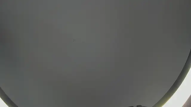 Snapshot of SinLickerr chatting on February 18, 7:43 pm SinLickerr online show from February 18, 7:43 pm