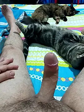 JFC161612 online show from April 7, 6:14 am