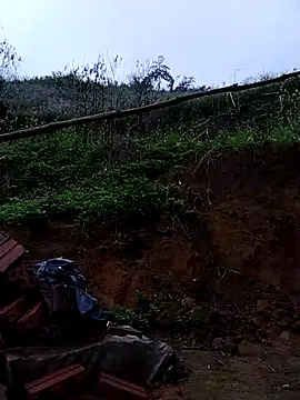 lovely-742 online show from March 12, 2:07 am