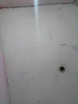 Snapshot of cobrosdepagos chatting on February 19, 1:56 am cobrosdepagos online show from February 19, 1:56 am