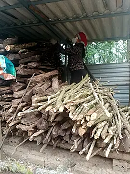 nelina 12345 online show from April 15, 12:17 am