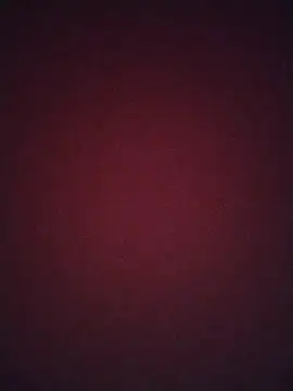 Snapshot of Regina_23 chatting on February 20, 12:07 am Regina 23 online show from February 20, 12:07 am