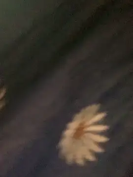 baeas-lan online show from March 6, 10:06 pm