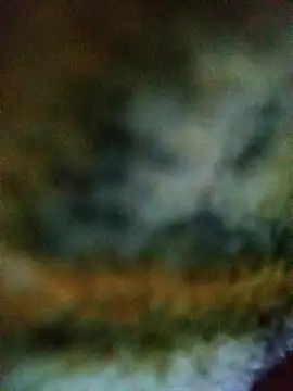 Avinh 09 online show from February 15, 4:31 am