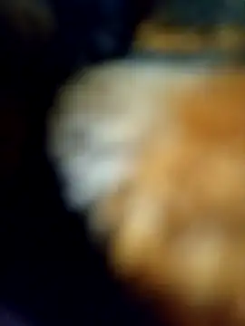 Avinh 09 online show from February 15, 5:20 pm