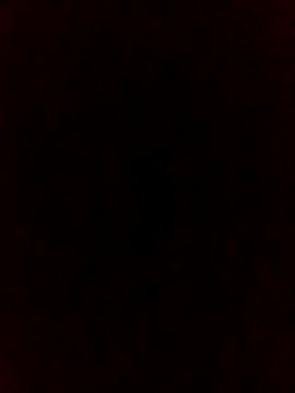 falcon2589 online show from February 25, 1:04 am