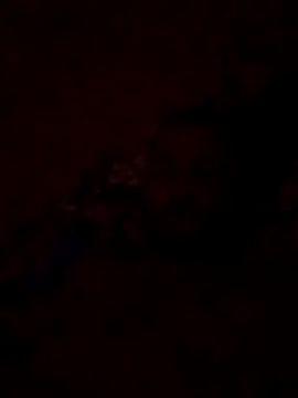 Blisiomar online show from May 30, 12:52 am