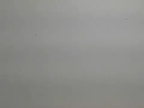 risu 00 online show from March 6, 3:30 pm