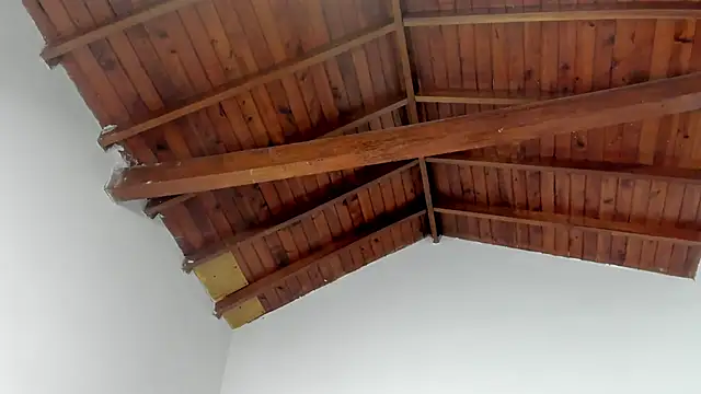 TonyPetrovjs online show from March 15, 7:36 am