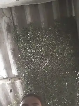 mar coral2 online show from March 9, 2:43 pm