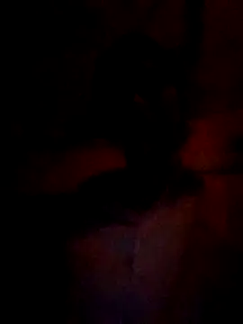 Snapshot of wifedesi7050 chatting on March 5, 4:47 pm wifedesi7050 online show from March 5, 4:47 pm