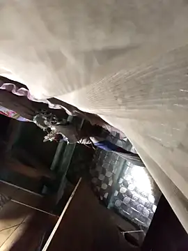 Snapshot of Big-all012 chatting on February 23, 9:50 am Big-all012 online show from February 23, 9:50 am