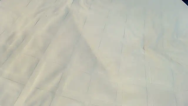 Ass Lovss online show from May 23, 5:45 am