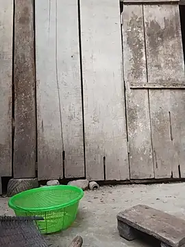 rinrin7700 online show from April 16, 10:16 am