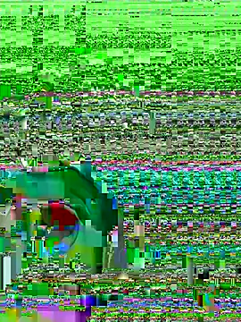 midsize 94 online show from February 26, 3:38 am