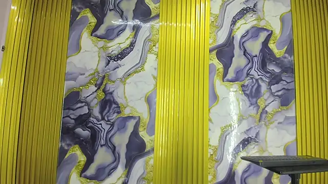 monky 0002 online show from June 26, 8:24 pm