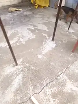 Snapshot of mylove202022 chatting on March 15, 2:06 am mylove202022 online show from March 15, 2:06 am