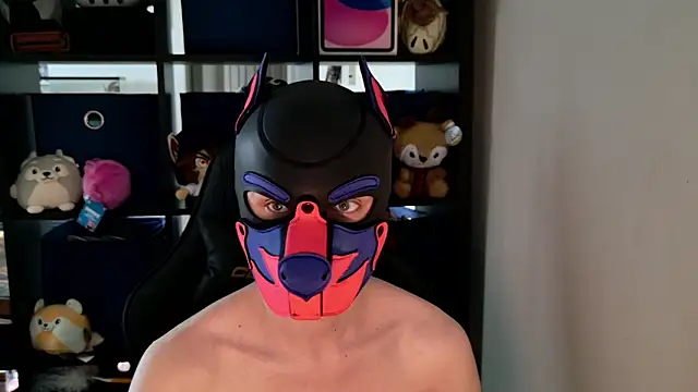 MellPUP online show from May 12, 9:12 pm