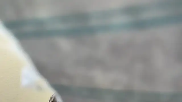 Snapshot of the-gen-xxx chatting on March 17, 11:08 pm the-gen-xxx online show from March 17, 11:08 pm