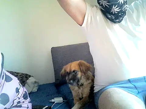 Snapshot of SirNefastus chatting on April 12, 4:28 am SirNefastus online show from April 12, 4:28 am