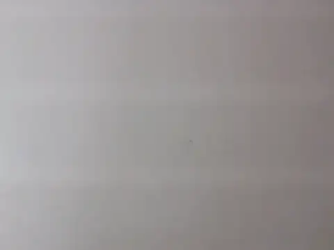 Zurii  online show from April 12, 7:52 pm