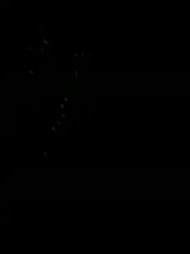 Snapshot of nabil00901 chatting on May 13, 12:41 am nabil00901 online show from May 13, 12:41 am