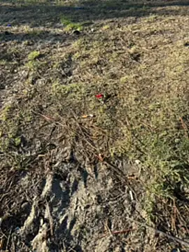 Snapshot of Kadenj92 chatting on April 4, 3:20 pm Kadenj92 online show from April 4, 3:20 pm