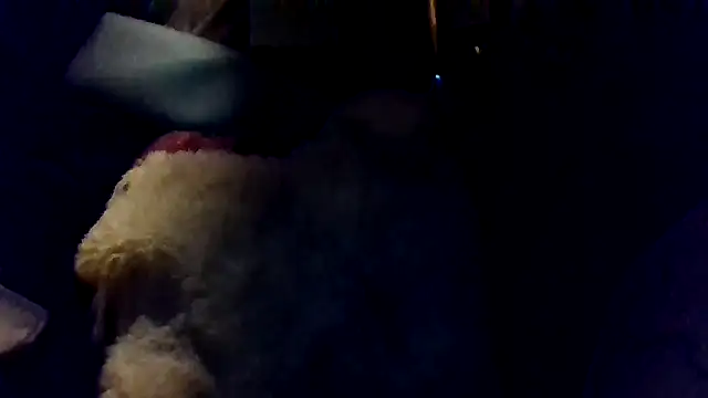 shag369 online show from April 30, 5:36 am
