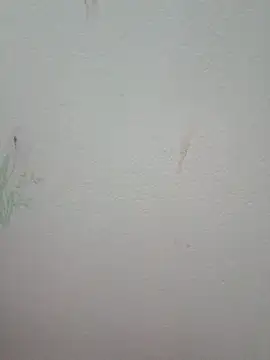 Luckyy29 online show from June 13, 5:05 am