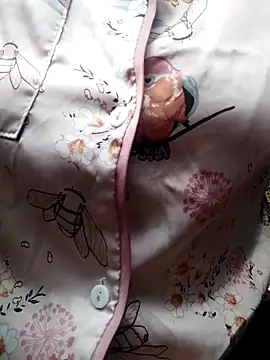 Snapshot of giahan1 chatting on April 10, 12:49 am giahan1 online show from April 10, 12:49 am