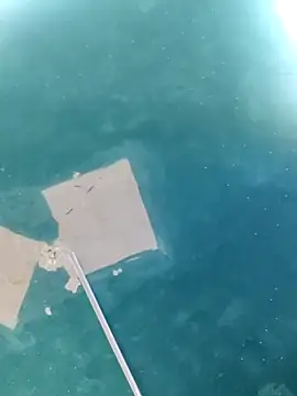 maicol6699 online show from April 18, 5:11 am