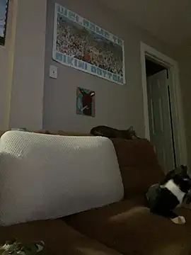 skyerose11 online show from June 13, 2:53 am