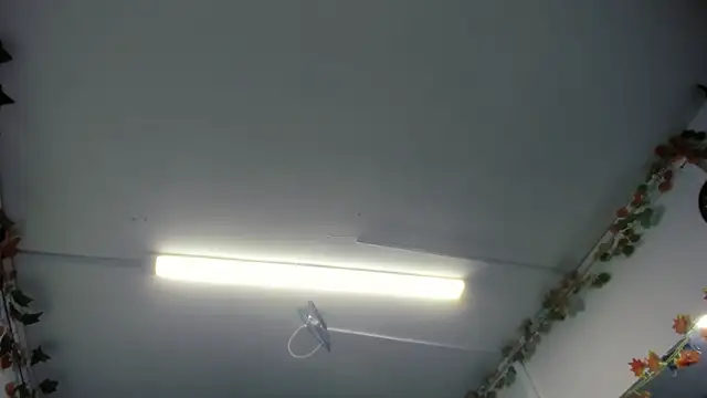 Snapshot of LilaVelvet chatting on May 23, 6:56 pm LilaVelvet online show from May 23, 6:56 pm