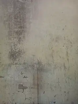 millerjail online show from July 13, 10:51 am