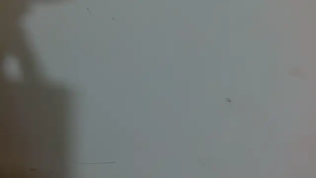 Snapshot of soofia_1609 chatting on May 22, 8:47 pm soofia 1609 online show from May 22, 8:47 pm