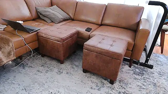 gaydandyboy online show from May 26, 9:33 pm