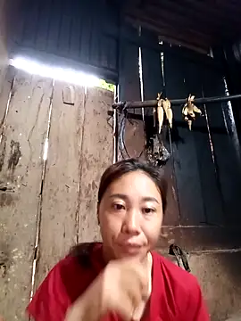 Snapshot of Jinli_01 chatting on May 3, 11:11 pm Jinli 01 online show from May 3, 11:11 pm