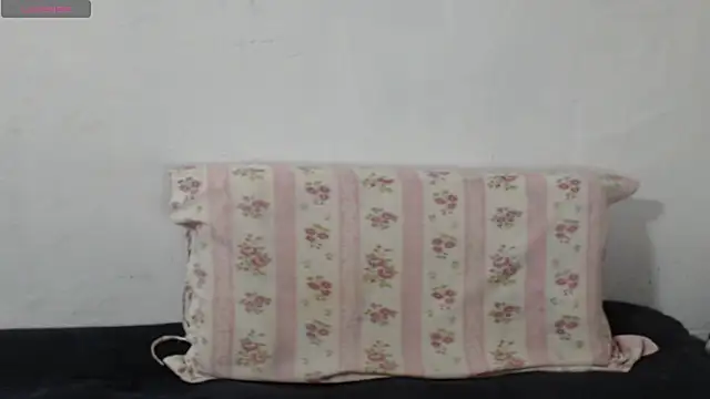 Snapshot of Brun3tt3n chatting on September 19, 3:41 am Brun3tt3n online show from September 19, 3:41 am