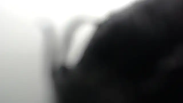 Snapshot of SCARLET_ROUSE_M chatting on May 27, 1:57 am SCARLET ROUSE M online show from May 27, 1:57 am