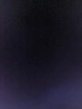 missbellastar online show from June 11, 3:04 am