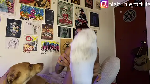 niah 11 online show from July 15, 3:50 pm