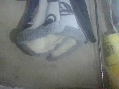Snapshot of prettybelly chatting on May 26, 3:35 am prettybelly online show from May 26, 3:35 am