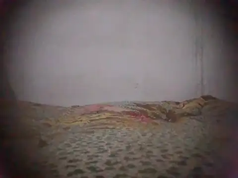 04 brayitan online show from May 29, 8:51 pm