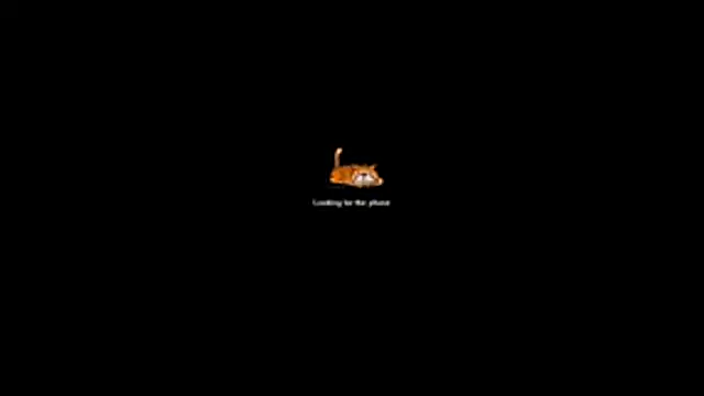 Snapshot of bella-diaz chatting on July 13, 8:33 pm bella-diaz online show from July 13, 8:33 pm