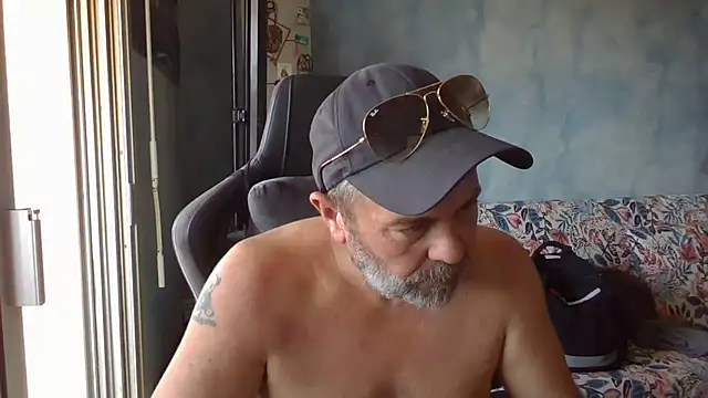 panda 06200 online show from July 4, 9:37 am