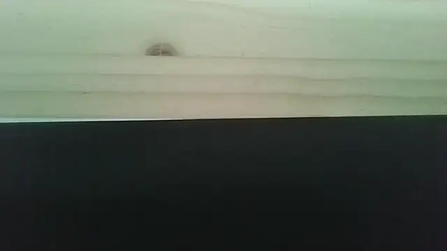 Snapshot of Hendrikje chatting on June 2, 4:42 pm Hendrikje online show from June 2, 4:42 pm