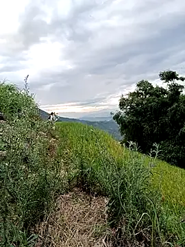 Sky-beo online show from June 23, 10:46 am